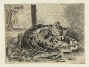 眠る猫