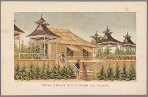 1883年、アムステルダムで開催された万国博覧会でのオランダ植民地のタバコ農園 オランダ部門のタバコ農園: 植民地 (オブジェクトのタイトル) 1883 年のアムステルダムの思い出 (オブジェクトのシリーズ タイトル) 作： Anonymous