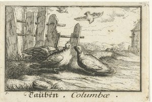フェンスの 2 つのハト Tauben、Columbae (オブジェクトのタイトル) 作： Anonymous