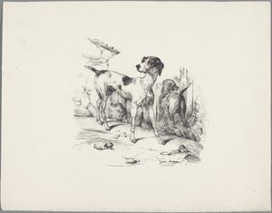 フェンスで 2 匹の犬 Six Little Animal Studies (シリーズタイトル) Six Little Beast Studies (オブジェクトに関するシリーズ タイトル)