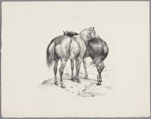 後ろから見た2頭の馬 Six Little Animal Studies (シリーズタイトル) Six Little Beast Studies (オブジェクトに関するシリーズ タイトル) 作： Anonymous