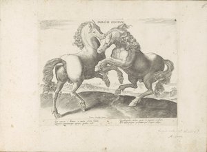 Twee vechtende paarden Horse Duel (オブジェクトのタイトル) あらゆる種類の貴族が乗った馬：世界のさまざまな地域で区別された馬の行動が選択された（...）（オブジェクトに関するシリーズタイトル） 作： Anonymous