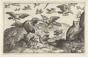 他の鳥に襲われた獲物を持つフクロウ 鳥と虫（連載タイトル） 作： Anonymous