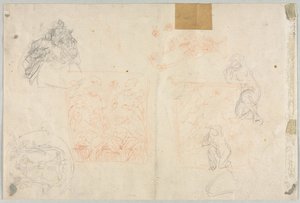 人物と植物のさまざまなスケッチ (裏面) 作： Anonymous