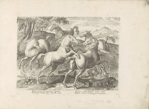 Vechtende paarden met een onder de voet gelopen paard あらゆる種類の貴族が乗った馬：世界のさまざまな地域で区別された馬の行動が選択された（...）（オブジェクトに関するシリーズタイトル） 作： Anonymous