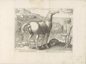 Zephyrus bevrucht een merrie Paardenrassen uit de Koninklijke Stalen van Don Juan van Oostenrijk (シリーズ タイトル) あらゆる種類の貴族が乗った馬：世界のさまざまな地域で区別された馬の行動が選択された（...）（オブジェクトに関するシリーズタイトル） 作： Anonymous