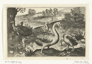 白鳥とガチョウとアヒル 鳥と虫（連載タイトル）