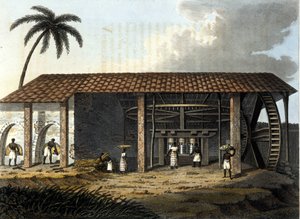 ブラジル、砂糖工場 - ジュール・フェラリオ博士の「オールド＆モダン・コスチューム」1819-1820年、ミラノ編による。 作： Anonymous Anonymous