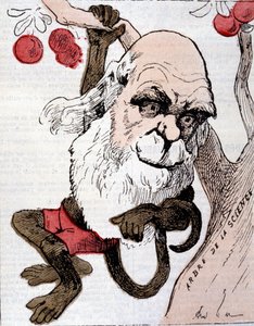 チャールズ・ロバート・ダーウィン（1809-1882）による "La Lune "の風刺画 作： Anonymous Anonymous