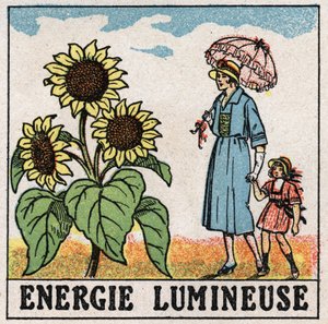 光のエネルギー：ヒマワリは太陽光の影響を受ける。1925年の匿名のイラスト。個人蔵。 作： Anonymous Anonymous