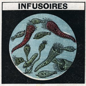 光の投影：輸液を観察するための投影用ランタンの使用。1925年の匿名のイラスト。個人蔵。 作： Anonymous Anonymous