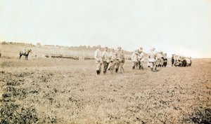 第一次世界大戦初期の歩兵中尉の個人アルバムからの写真（1st, Iere