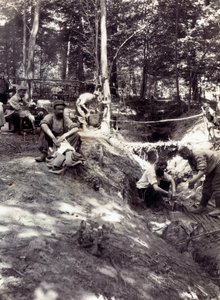 第一次世界大戦初期の歩兵中尉の個人アルバムからの写真（1st, Iere 作： Anonymous Anonymous