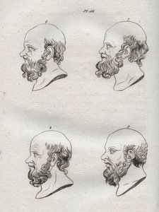 人相学 - Physiognomony - ギリシャの哲学者ソクラテス（紀元前469年頃～紀元前399年頃）の複数の頭部（ソクラテスの胸像（紀元前469年頃～紀元前399年頃）、アテネの哲学者）1808年の彫刻（Johann Gaspar (Gaspard) Lavatによる「The art of knowing men through physiognomomy（人相学を通して人を知る術）」に掲載されたもの 作： Anonymous Anonymous