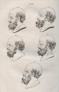 人相学 - Physiognomony - ギリシャの哲学者ソクラテス（紀元前469年頃～紀元前399年頃）の複数の頭部（ソクラテスの胸像（紀元前469年頃～紀元前399年頃）、アテネの哲学者）1808年の彫刻（Johann Gaspar (Gaspard) Lavatによる「The art of knowing men through physiognomomy（人相学を通じて人を知る術）」に掲載されたもの 作： Anonymous Anonymous