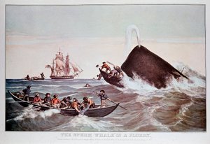 渦中のマッコウクジラが小舟を転覆させる。19世紀初頭のリトグラフ 個人蔵 作： Anonymous Anonymous