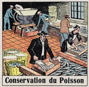 コールド・インダストリー。氷の中の魚の保存。1925年の匿名のイラスト。個人蔵。 作： Anonymous Anonymous