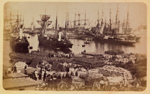 1885-1890年頃のマルセイユの街とその周辺。バサン・ド・ラ・ジョリエット、猫に搭乗する貨物、個人蔵 作： Anonymous Anonymous