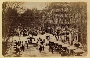 1885-1890年頃のマルセイユの街とその周辺。花の散歩道」コース・サンルイ、個人蔵 作： Anonymous Anonymous