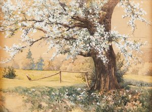 アンタル・ネオグラディ 花木 作： アンタルネオグラディ
