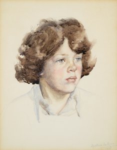 7歳のヒュー・ボイロー 作： Anthea Durose