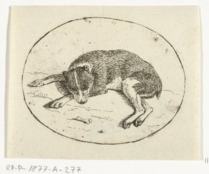 横たわっている犬 作： Anthonie van den Bos