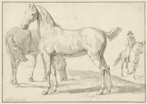 牧草地に 2 頭の馬、右側にライダー 作： Anthony Jacobus Offermans