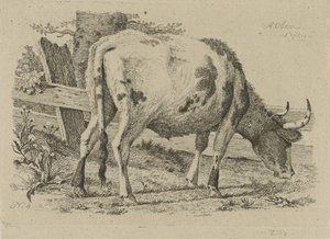 フェンスで牛を放牧 ウシ、ヒツジ、ヤギの研究（連載タイトル） 作： Anthony Oberman