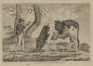 牛と羊飼い ウシ、ヒツジ、ヤギの研究（連載タイトル） 作： Anthony Oberman