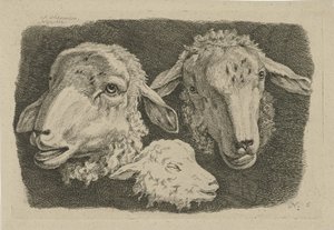 2 つの羊の頭と 1 つの子羊の頭 ウシ、ヒツジ、ヤギの研究（連載タイトル） 作： Anthony Oberman