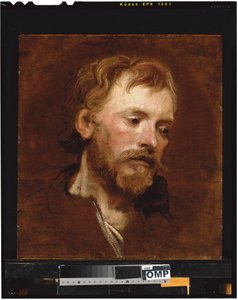 ひげを生やした男、研究 作： Anthony van Dyck