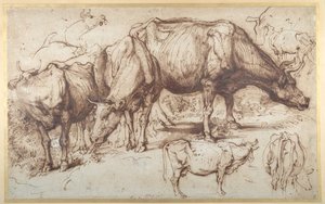 牧草地の牛」 1618-20年頃 （紙にペンとインク、ウォッシュ 作： Anthony van Dyck