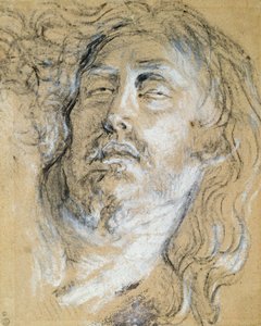 死んだキリストの頭（木炭と紙にチョーク） 作： Anthony van Dyck
