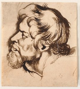 男の頭 作： Anthony van Dyck
