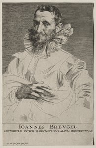 ヤン・ブリューゲルの肖像。 作： Anthony van Dyck
