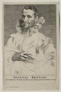 ヤン・ブリューゲルの肖像。 作： Anthony van Dyck