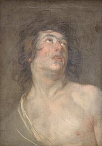 上向きに探している若い男の頭を研究します。 聖セバスチャン 作： Anthony van Dyck