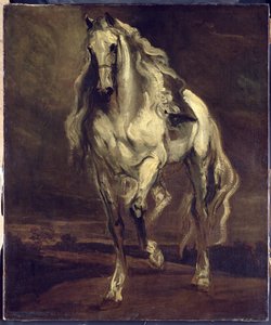 不明な画像 作： Anthony van Dyck
