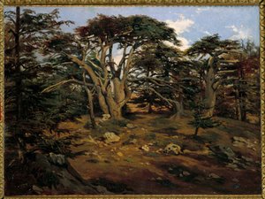 Les vieux cedres sur le Mont Liban a Boumana Antoine Alphonse Montfort (1802-1884) 画 19世紀 日 0,32x0,44 m Paris, musee d