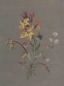 花のデザイン、カリフォルニア。 1820年。 作： Antoine Berjon