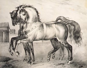 ヴァルミーの戦いでオルレアン公ルイ・フィリップが騎乗した馬たち、ヴィクター・アダム（1801-66）の彫刻、1834-38年頃（リトグラフ）。 作： Antoine Charles Horace Vernet