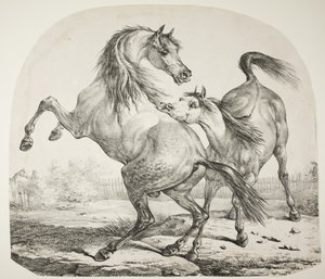 野生の馬の戦い、1820年頃 作： Antoine Charles Horace Vernet