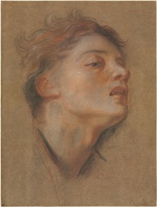 若い男の頭 作： Antoine Coypel
