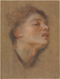 若い男の頭、1715年から1717年。 作： Antoine Coypel