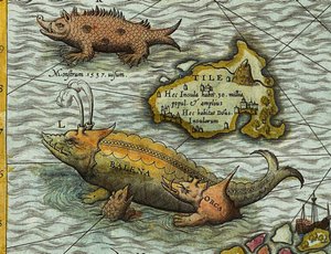 オラウス・マグヌス（1490-1557）作 海の地図（Carta marina）の詳細