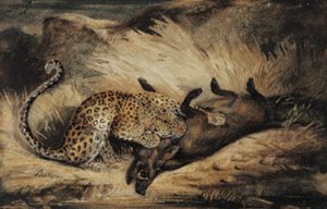 ヒョウはイノシシを食べます。 作： Antoine Louis Barye