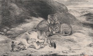 雌ライオンとカブス、おそらく 1832 年。 作： Antoine Louis Barye