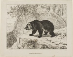 ミシシッピベア 作： Antoine Louis Barye