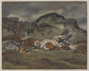 ローリングタイガー、1840年頃（紙にWC） 作： Antoine Louis Barye