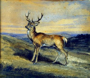 鹿。アントワーヌ・ルイ・バリーによる絵画 作： Antoine Louis Barye